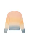 Unisex-Sweatshirt Ombre mit lässiger Passform und Rundhalsausschnitt