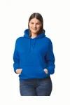 Dryblend Hooded Sweatshirt®