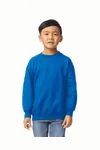 Kids' Heavy Blend™ Crew neck Sweatshirt