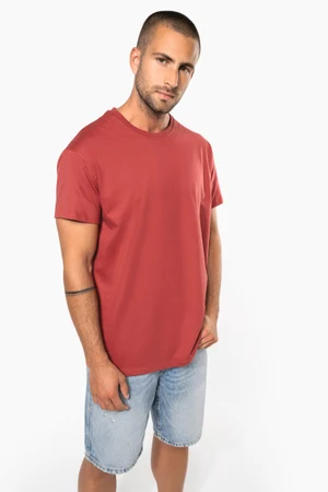 Herren T-Shirt Bio190 IC