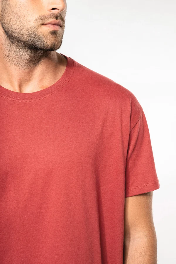 Herren T-Shirt Bio190 IC