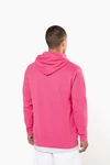 Herren Kapuzensweatshirt