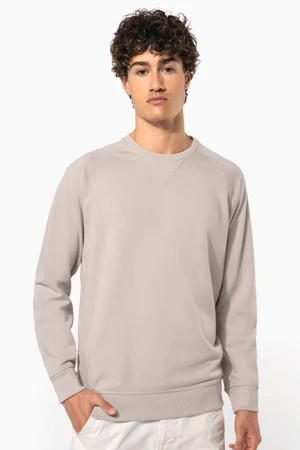 Herren Sweatshirt BIO-BAUMWOLLE Rundhalsausschnitt Raglanärmel