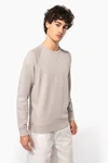 Herren Sweatshirt BIO-BAUMWOLLE Rundhalsausschnitt Raglanärmel