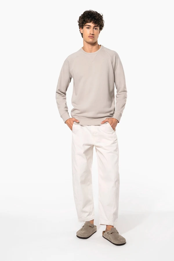 Herren Sweatshirt BIO-BAUMWOLLE Rundhalsausschnitt Raglanärmel