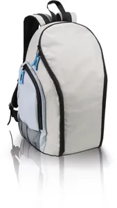 Backpack cool bag