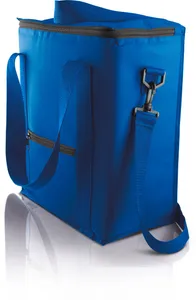 Cool bag