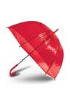 Transparent umbrella