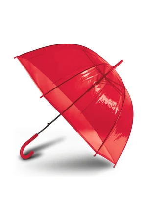 Transparent umbrella