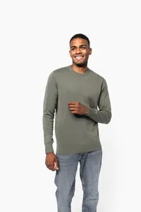 Crew neck jumper