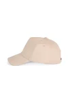 Action II - 5 panels cap