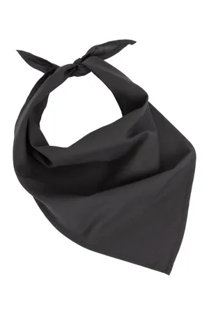 Fiesta - Bandana Black