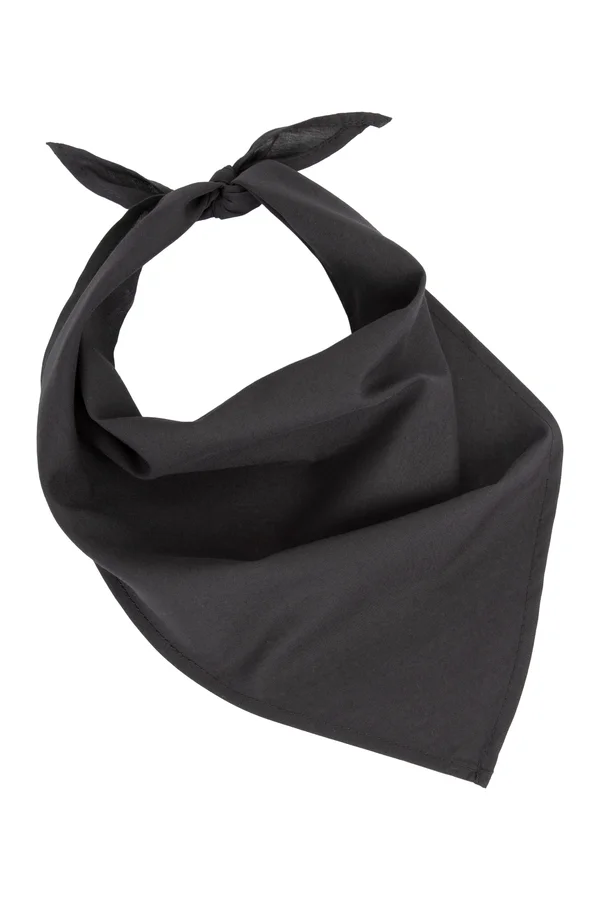 Fiesta - Bandana Black
