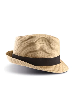 Panama hat