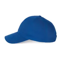 6 panel polyester cap