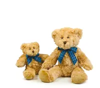 Bracken Bear