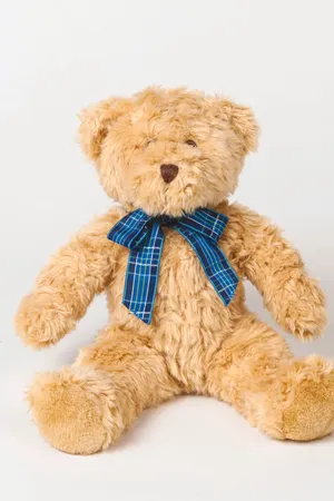 Plüschbär "Bracken" Light Brown