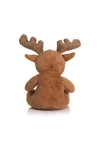Reindeer