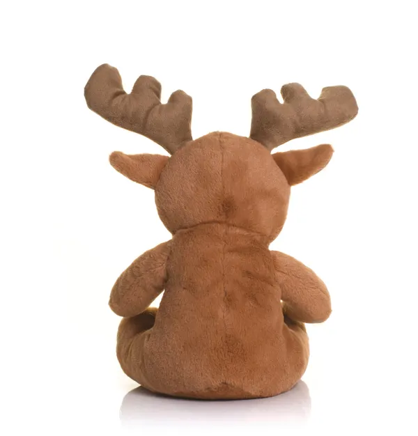 Reindeer