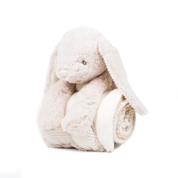 Rabbit and blanket