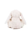 Rabbit and blanket