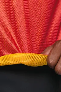 Multi-sports reversible bib