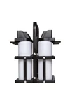 Foldable bottle carrier