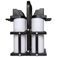 Foldable bottle carrier