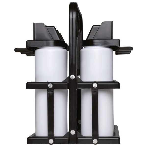 Foldable bottle carrier