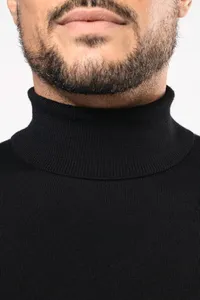 Men's roll-neck merino jumper