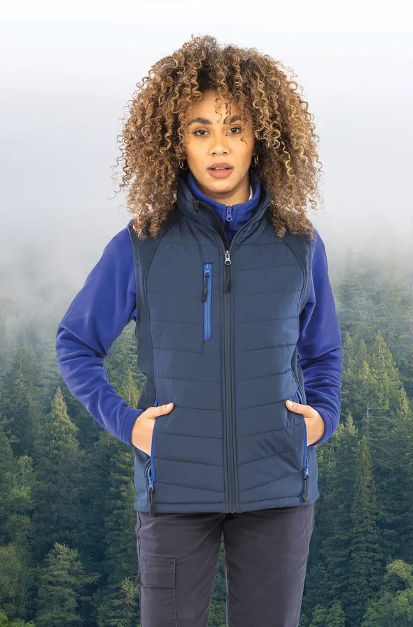 Black compass padded soft shell gilet