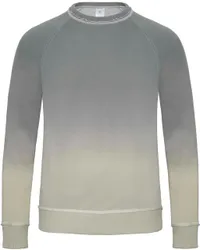 Herren Raglan Sweater