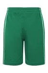 Junior Basic Team Shorts Green / White