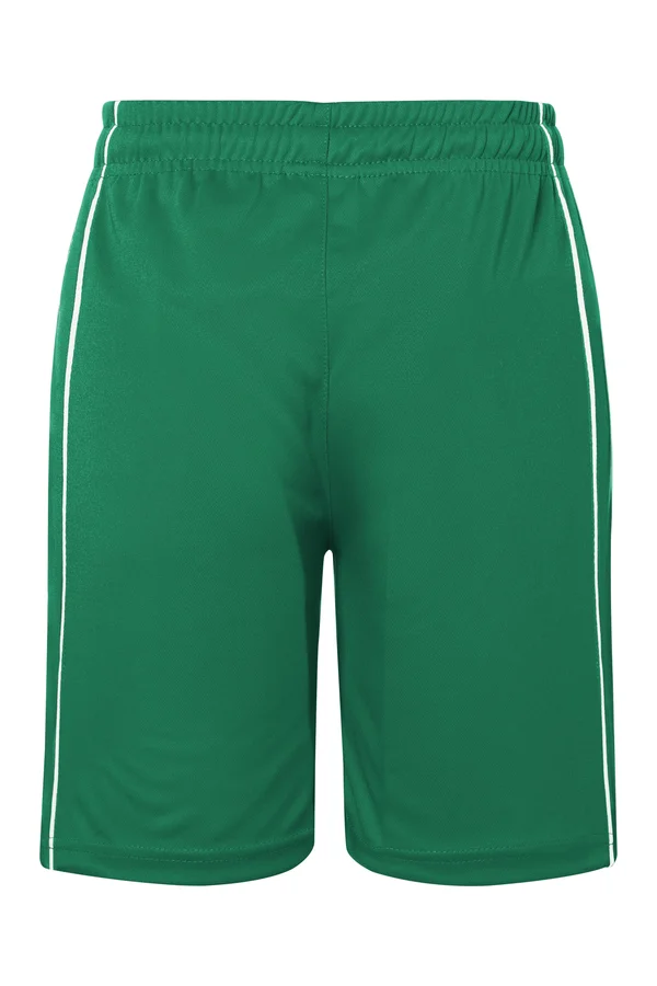 Junior Basic Team Shorts Green / White