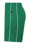 Junior Basic Team Shorts Green / White
