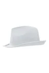 Promotion Hat White