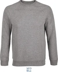 Herren Raglan Sweater