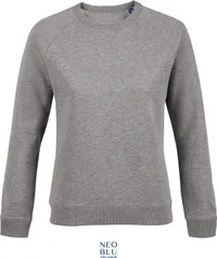 Damen Raglan Sweater
