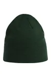 Holly Beanie Bottle Green