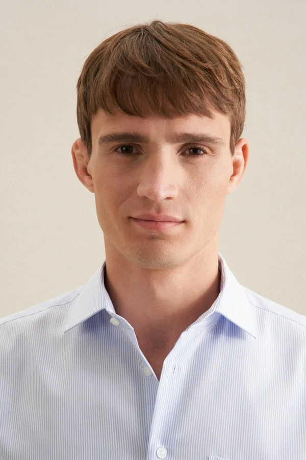 Men´s Shirt Regular Fit Check/Stripes Long Sleeve striped light blue/white