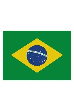 Flag Brazil