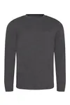Long Sleeve Tri-Blend T Heather Charcoal
