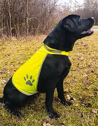 Stretchy Hi-Vis Safety Vest For Dogs Buenos Aires