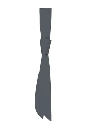 Serviceschleife Anthracite (ca. Pantone 7540C)