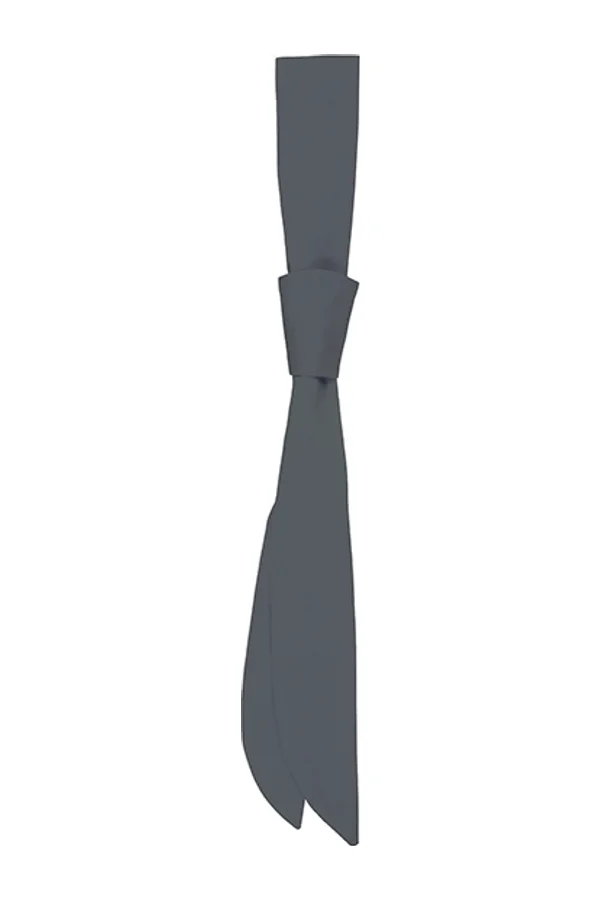 Serviceschleife Anthracite (ca. Pantone 7540C)