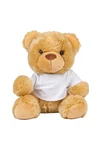 Bear In A T-Shirt
