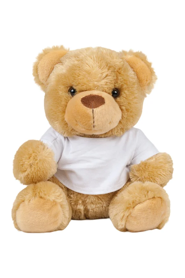 Bear In T-Shirt Brown