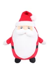 Zippie Father Christmas