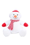 Zippie Snowman