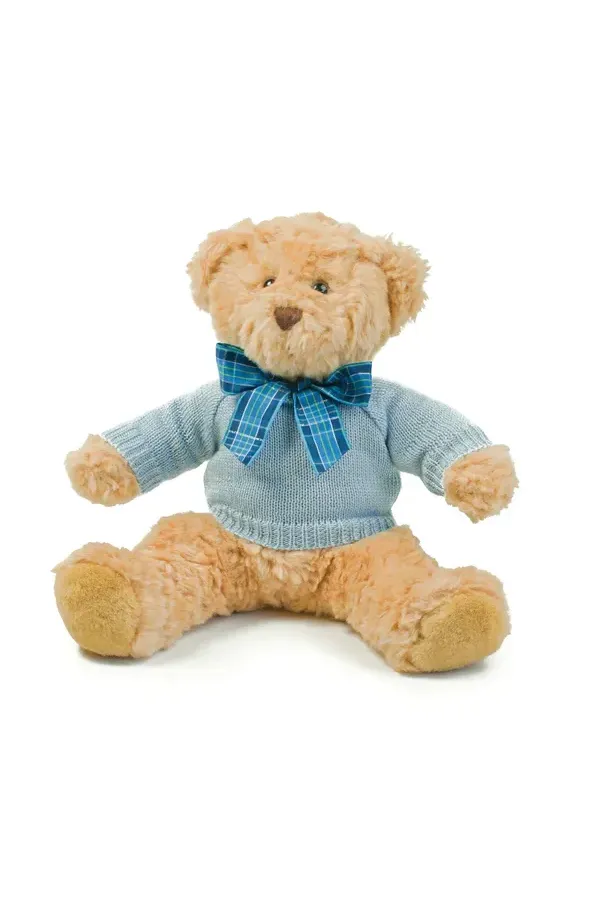 Teddy Jumper